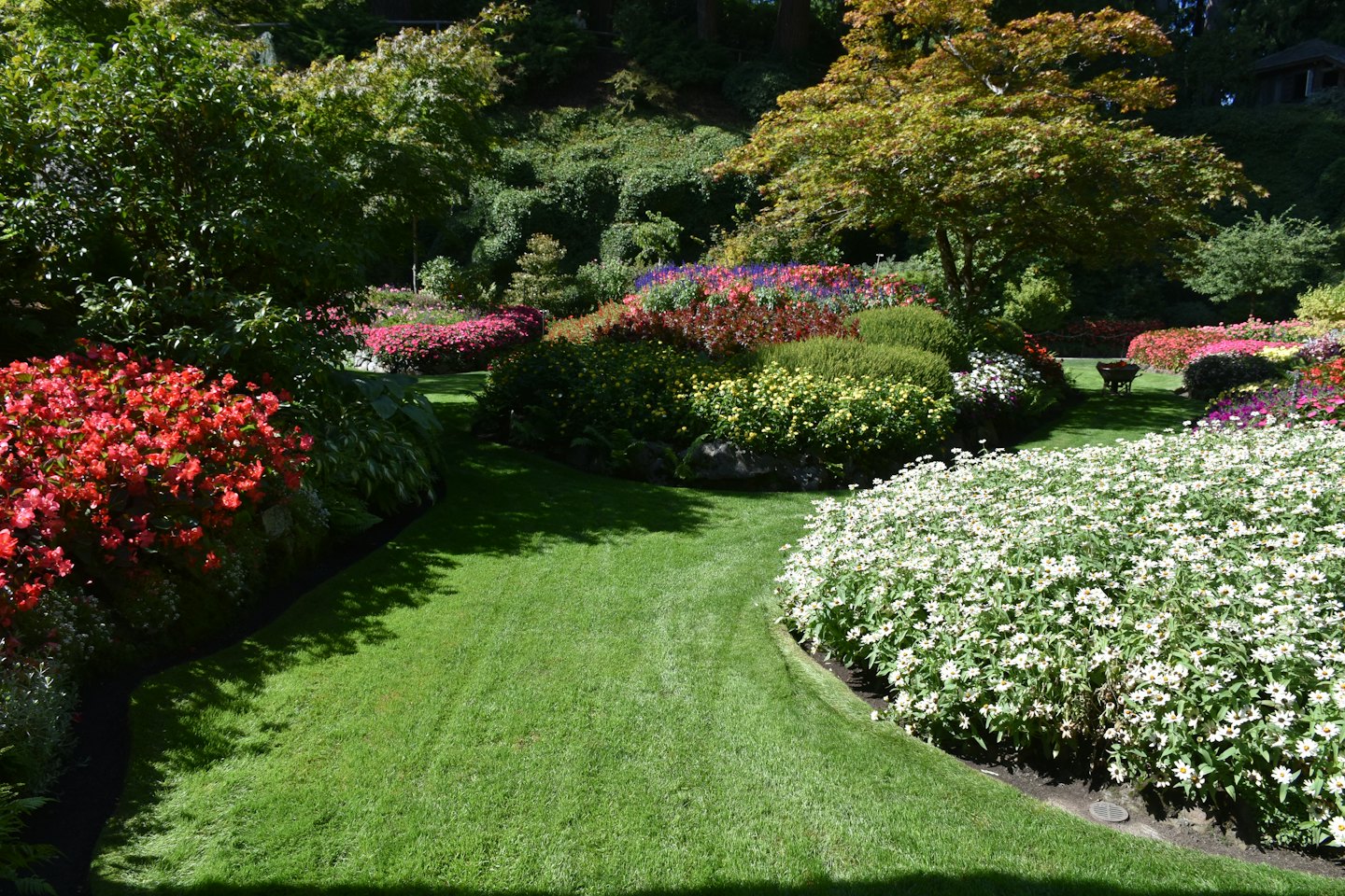 Sentieri curvi del giardino si snodano tra aiuole di fiori colorati e fogliame verde.