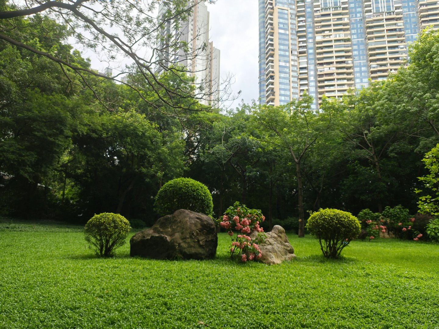 Parco paesaggistico con arbusti e alberi vicino a imponenti edifici cittadini.